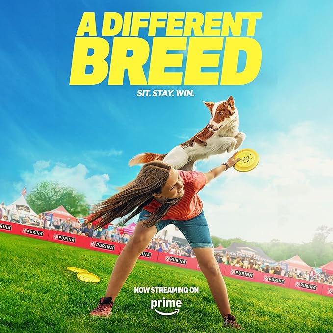 Purina Pro Plan Sensitive Skin and Stomach Dog Food Dry, Adult Salmon & Rice Formula, Digestive Health - 4 lb. Bag