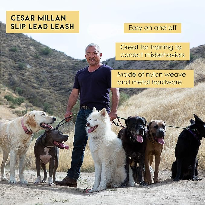 Cesar Millan Slip Lead Leash™ - 2-in-1 Slip Collar Dog Training Lead & Collar | Heavy Duty Durable Weatherproof Rope Leash, No Pull Training | Length 4ft Diameter 4/10”(Regular, Black)