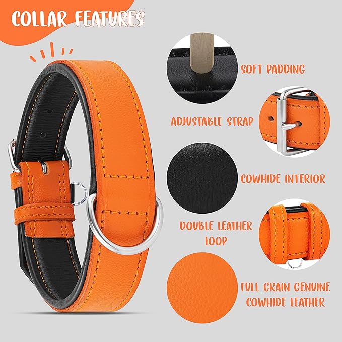 Riparo Orange Leather Dog Collar - Heavy Duty Wide Dog Collar for Small, Medium, Large and Extra Large Dogs with Dog Tag Holder (M: 1" Wide for 13.5”-17.5” Neck, Orange)