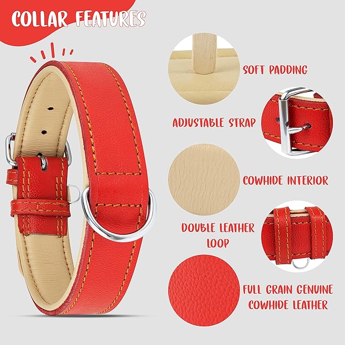 Riparo Red Leather Dog Collar - Heavy Duty Wide Dog Collar for Small, Medium, Large and Extra Large Dogs with Dog Tag Holder (XXL: 2” Wide for 26”-29” Neck, Red)
