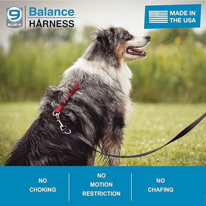 Blue-9 Buckle-Neck Balance Harness, Fully Customizable Fit No-Pull Harness, Ideal for Dog Training and Obedience, Made in The USA, Orange, Medium