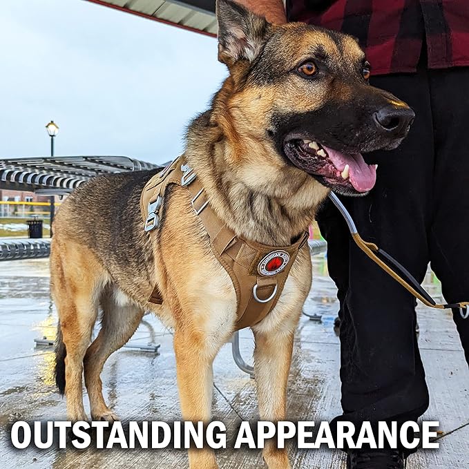 Tactical Dog Harness with Metal Buckle; Military Style Tactical Dog Vest Harnesses; Heavy Duty Harness for Medium Dogs with All Metal Components. Tan Medium (M)