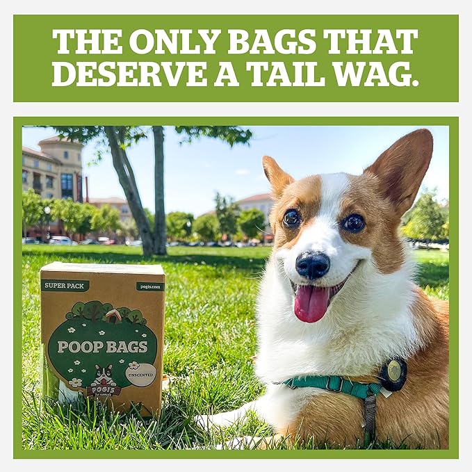 Pogi’s Dog Poop Bags with Handles – Extra-Thick, Leak-Proof, Large, Fresh Scent, 300-Count