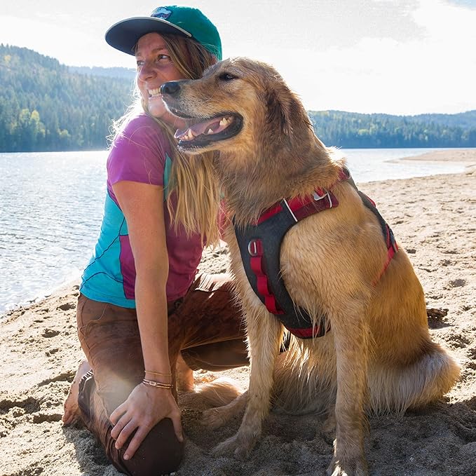 Kurgo Journey Air Dog Harness - Secure Fit for Active Dogs - Padded Chest - Lightweight Ripstop Fabric - Breathable Mesh - Reflective Trim - Back Assist Handle - Red - Small