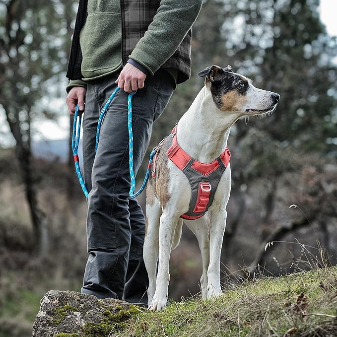 Kurgo Journey Air Dog Harness - Secure Fit for Active Dogs - Padded Chest - Lightweight Ripstop Fabric - Breathable Mesh - Reflective Trim - Back Assist Handle - Coral - Small