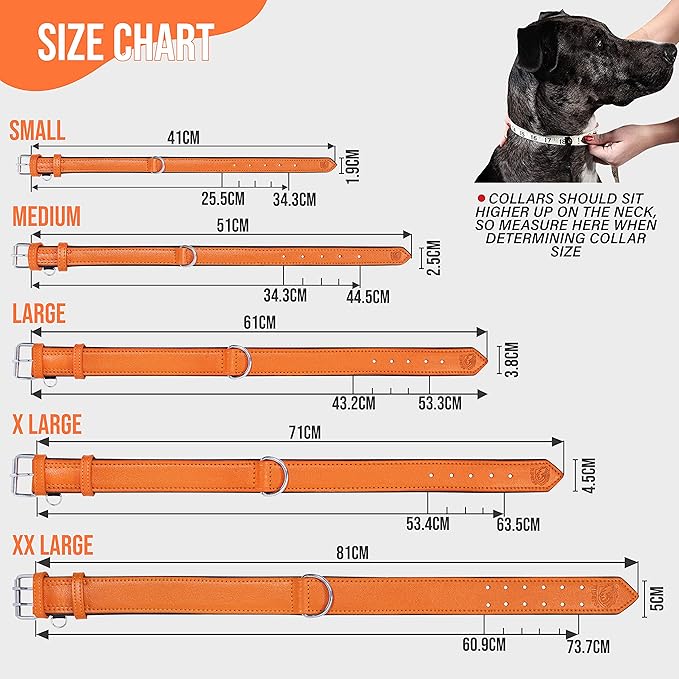 Riparo Leather Dog Collar, Large Dog Collar, Padded Heavy Duty Dog Collar with Dog Tag Holder, Orange Dog Collar (XL, Orange)