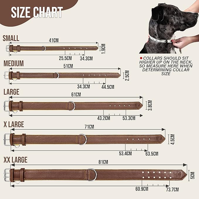 Riparo Dog Collars for Medium Dogs, Genuine Leather Dog Collar, Medium Dog Collar (M: 1" Wide for 13.5”-17.5” Neck, Brown)