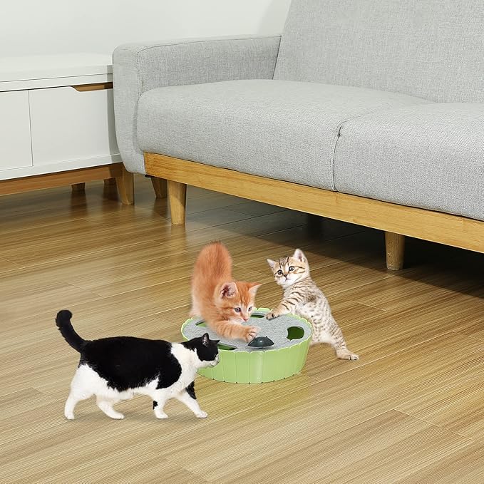 Pawaboo Interactive Toy with Running Mouse, Electronic Motion Cat Toy Automatic Teaser, Pop and Play Hide Seek Cat Toys Hunting Mouse, Mint Green