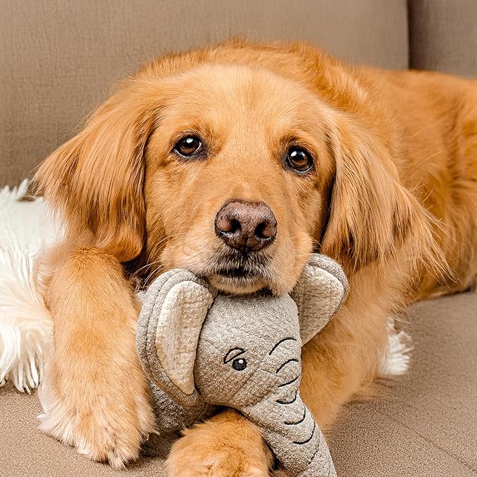 Dog Toys | Plush Toy Elephant Stuffed Animal for Dogs | Eco Friendly Toy - Easy to Clean and Made from Non Toxic Materials
