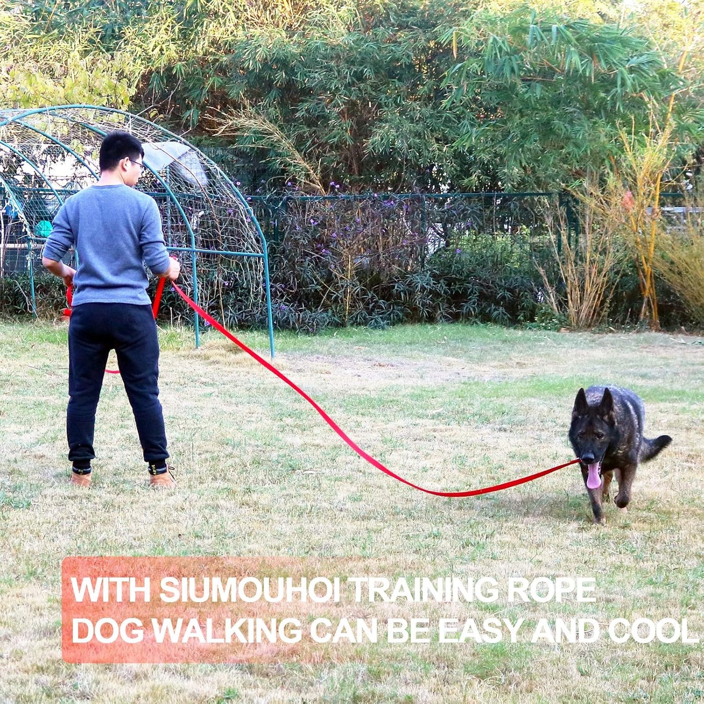 Dog/Puppy Obedience Recall Training Agility Lead - 15ft 20ft 30ft 40ft 50ft Training Leash - Great for Training, Play, Camping, or Backyard (30 Feet, Red)