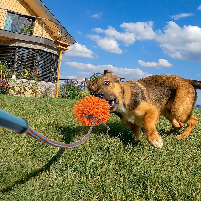 ALL FOR PAWS Dog Flirt Pole, Interactive Flirt Pole for Small Medium Dogs, Flirt Pole with 2 Chew Chase Lures Toys, Dog Toy for Tug of War Exercise & Training Tools