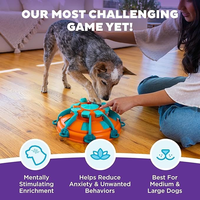 Outward Hound by Nina Ottosson Tower of Treats Level 4 Expert Dog Treat Puzzle for Enrichment, Orange