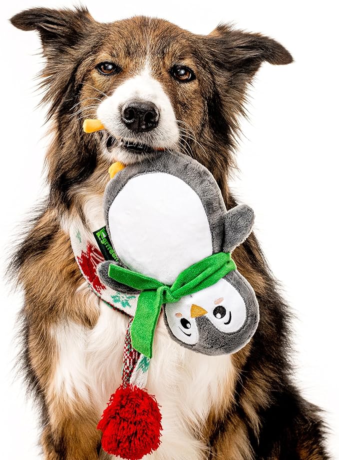 Dog Toys | Holiday Plush Toy Penguin Stuffed Animal for Dogs | Medium Eco Friendly Toy - Easy to Clean and Made from Non Toxic Materials