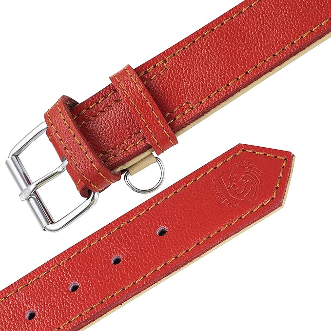 Riparo Large Dog Collar, Red Dog Collar for Large Breeds, Dog Collar Boy with Dog Tag Holder (L: 1.5" Wide for 17"-21" Neck, Red)