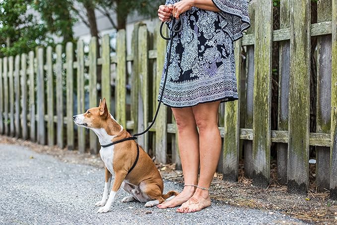Harness Lead No Pull Dog Harness and Leash Set, Anti Pull Dog Harness for All Breeds and Sizes, One-Piece Cushioned Rope Design Safely Prevents Escaping and Pulling (Small/Medium, Black/Reflective)