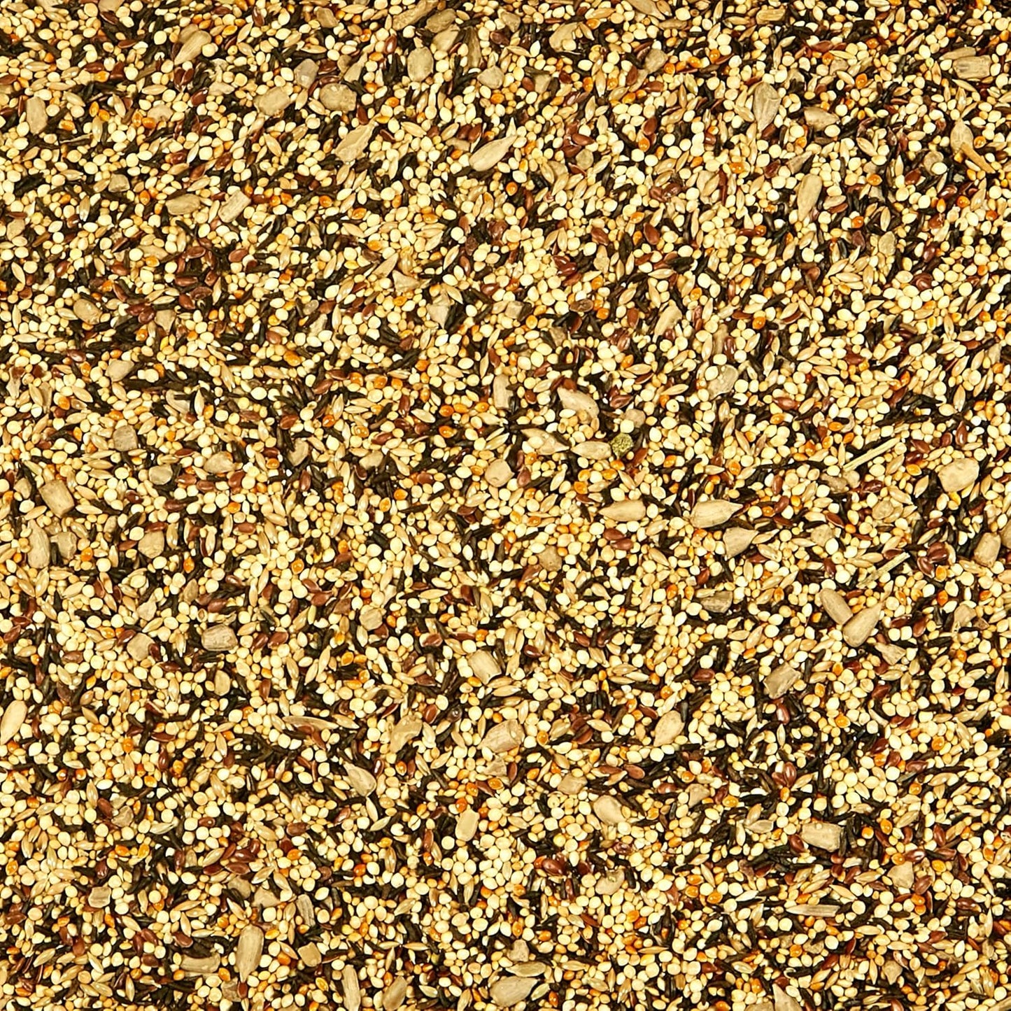 Kaytee Wild Bird Finch Food Blend, 5 lb