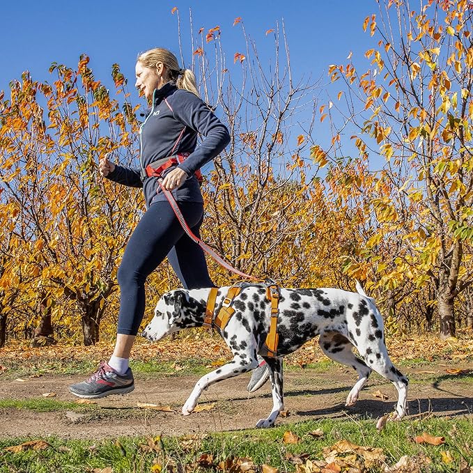 Kurgo Journey Air Dog Harness - Secure Fit for Active Dogs - Padded Chest - Lightweight Ripstop Fabric - Breathable Mesh - Reflective Trim - Back Assist Handle - Orange - Small